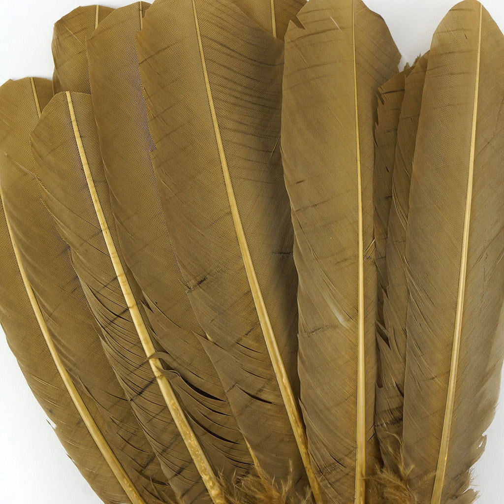 Bulk Turkey Quills by Pound - Right Wing - Camel