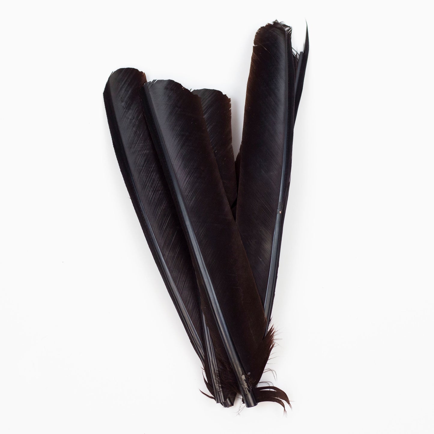 Brown Cut Turkey Pointer Feathers 8-12"