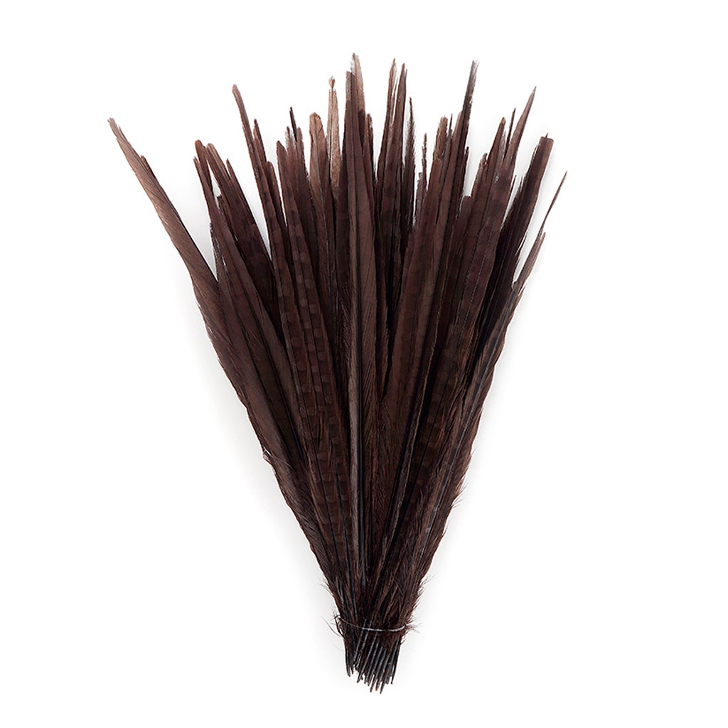 Bulk Assorted Pheasant Tails Dyed - Brown - Feathers