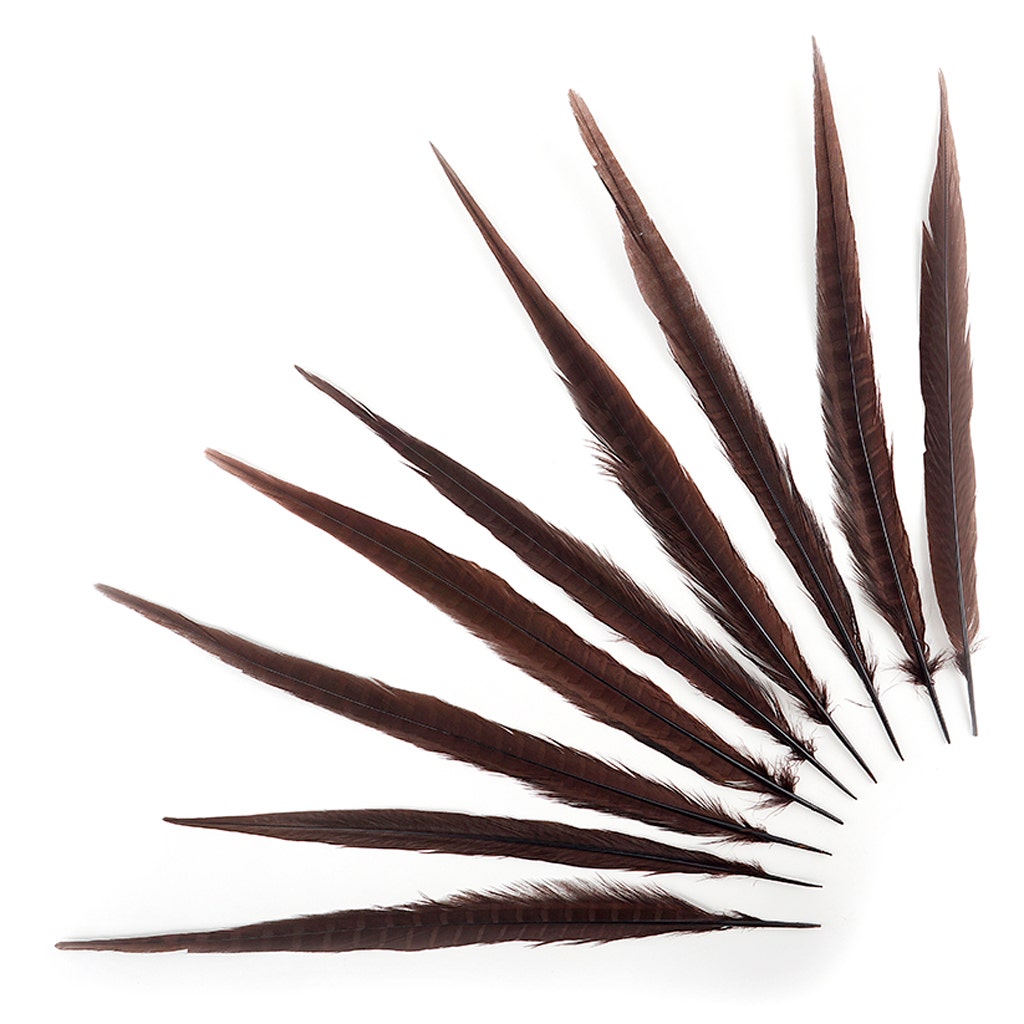 Bulk Assorted Pheasant Tails Dyed - Brown - Feathers