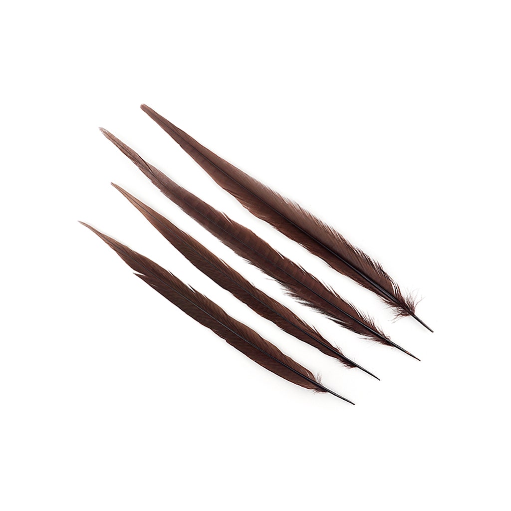 Bulk Assorted Pheasant Tails Dyed - Brown - Feathers