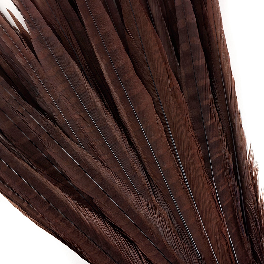 Bulk Assorted Pheasant Tails Dyed - Brown - Feathers