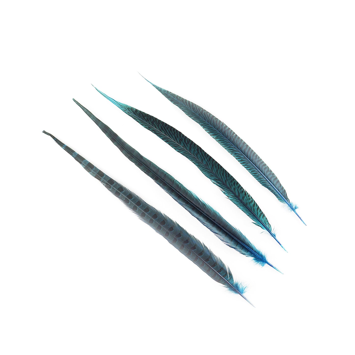 Bulk Assorted Pheasant Tails Dyed - Dark Turquoise - Feathers