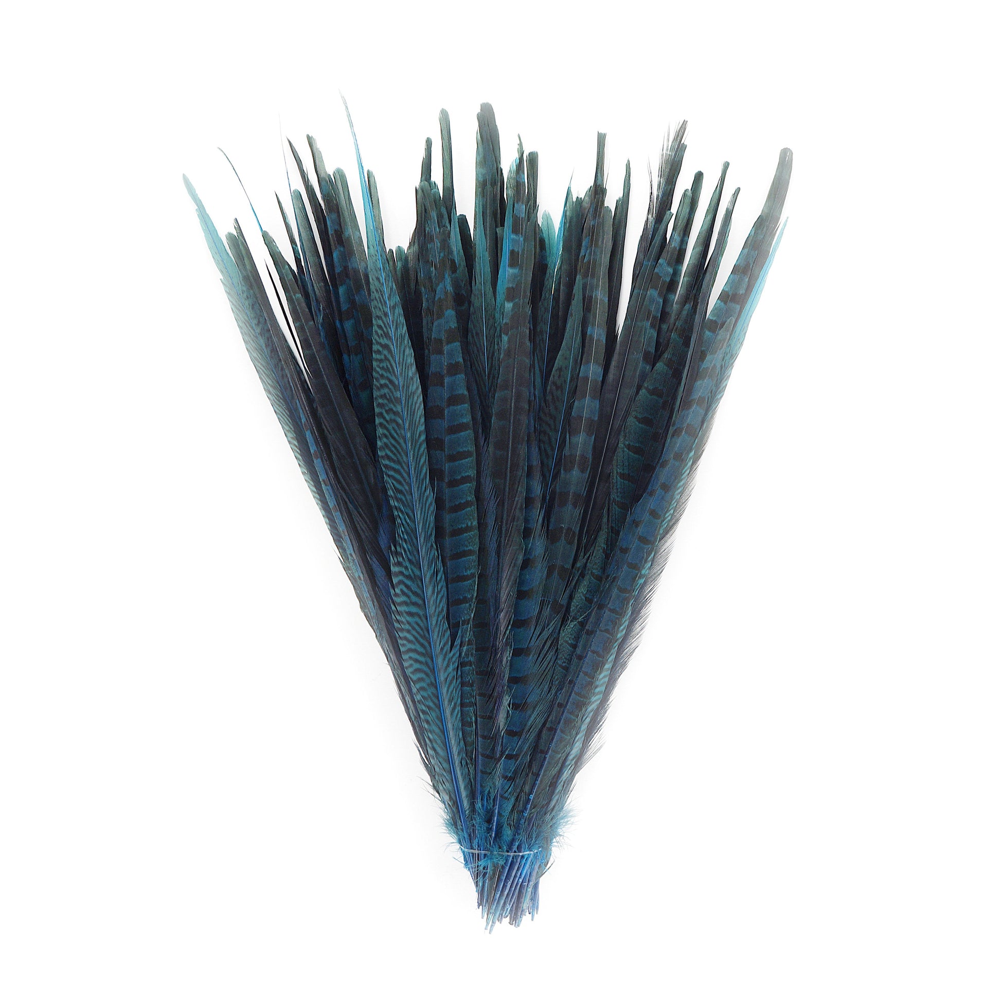 Bulk Assorted Pheasant Tails Dyed - Dark Turquoise - Feathers