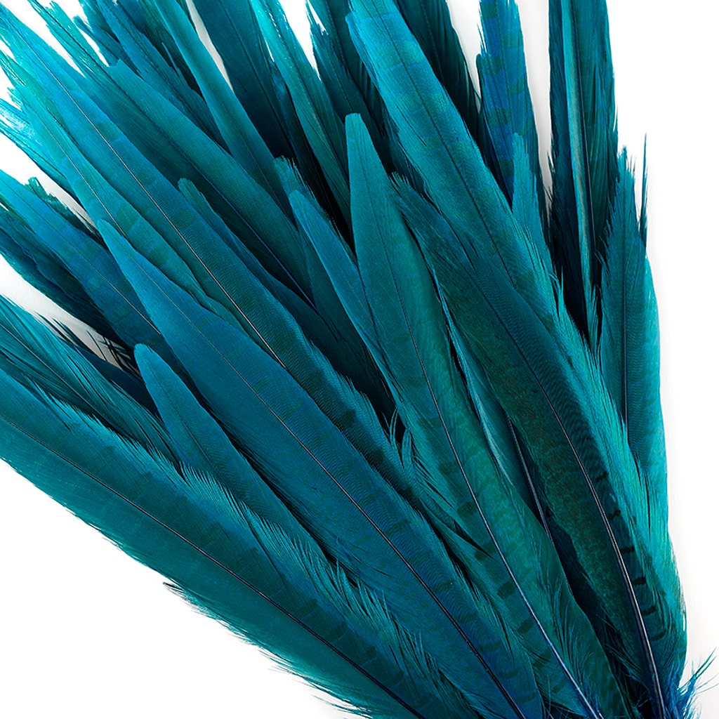 Bulk Assorted Pheasant Tails Dyed - Dark Turquoise - Feathers