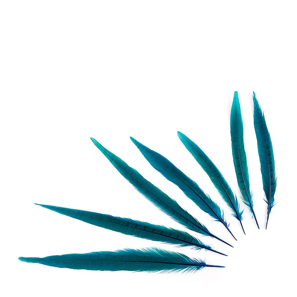 Bulk Assorted Pheasant Tails Dyed - Dark Turquoise - Feathers