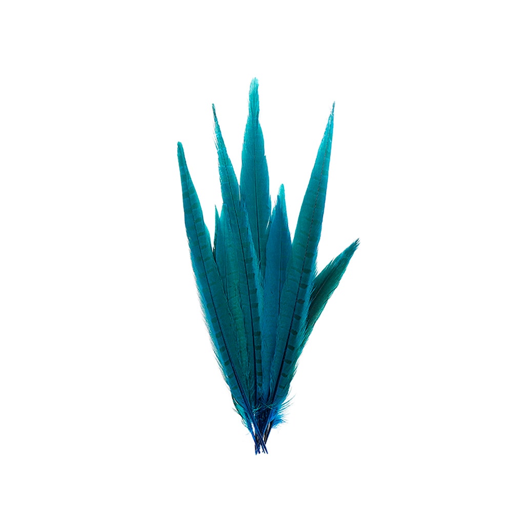 Bulk Assorted Pheasant Tails Dyed - Dark Turquoise - Feathers