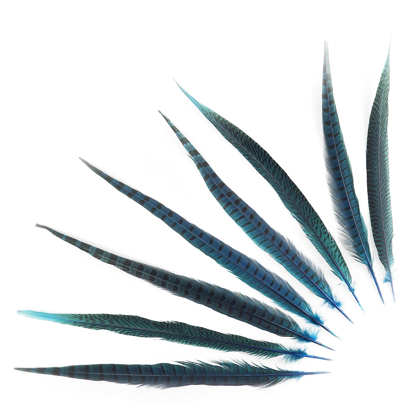 Bulk Assorted Pheasant Tails Dyed - Dark Turquoise - Feathers