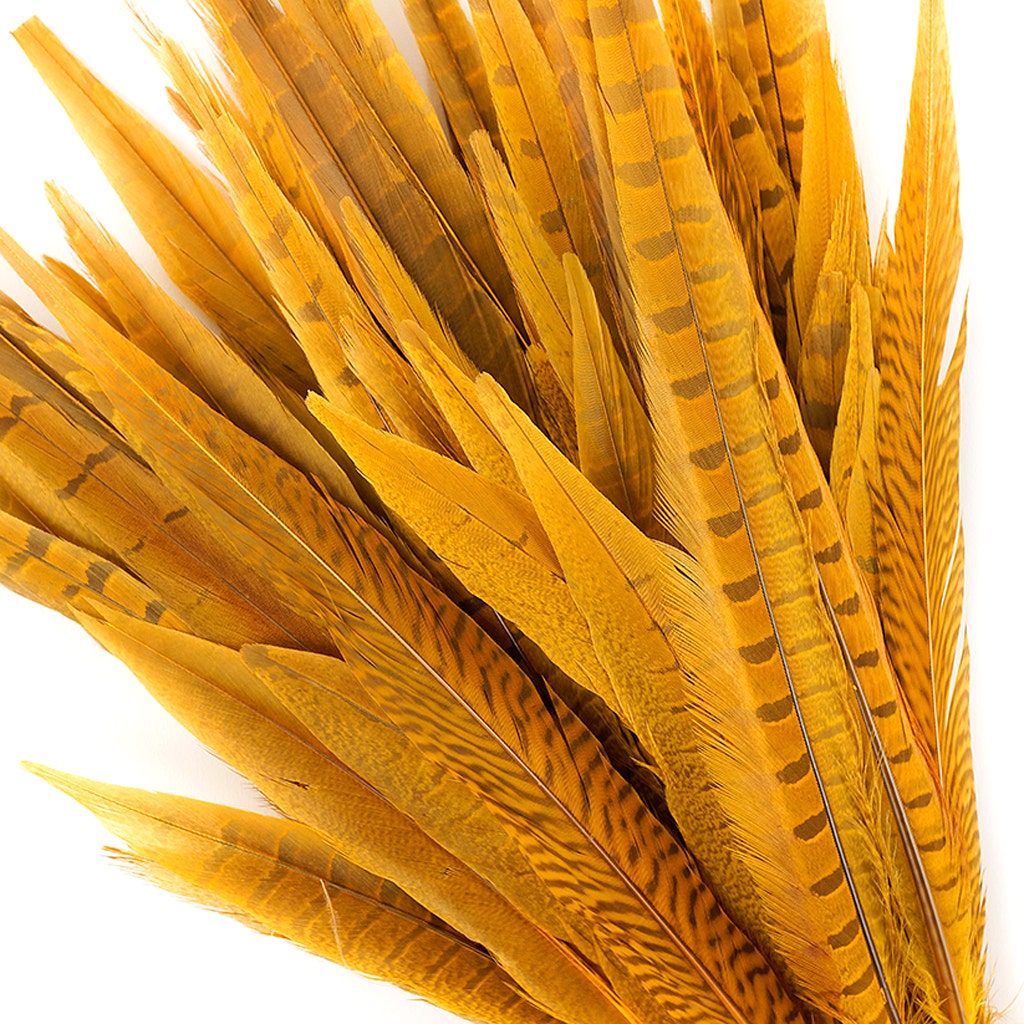 Bulk Assorted Pheasant Tails Dyed - Gold - Feathers