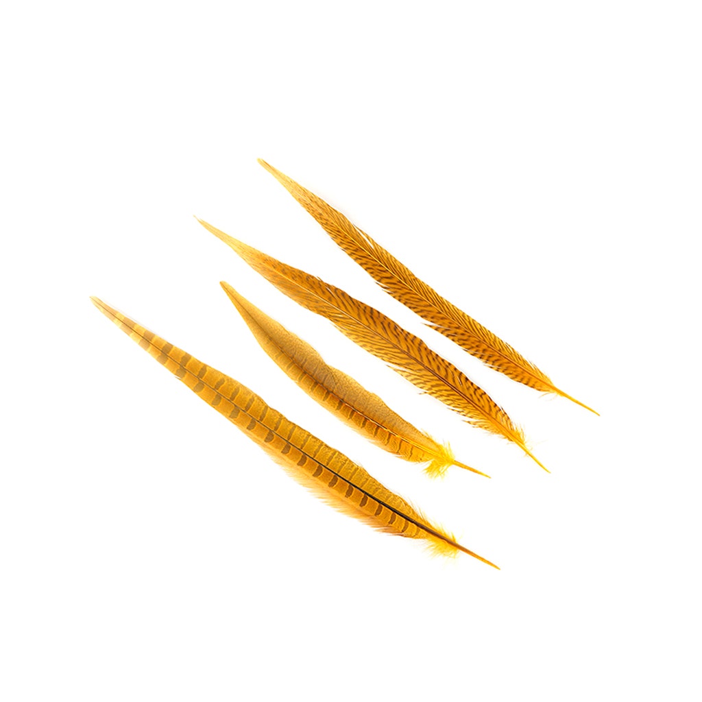 Bulk Assorted Pheasant Tails Dyed - Gold - Feathers