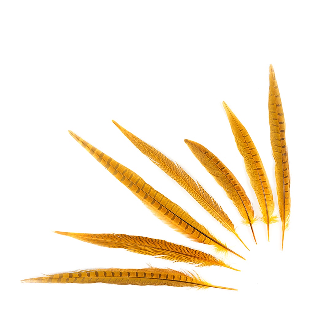 Bulk Assorted Pheasant Tails Dyed - Gold - Feathers