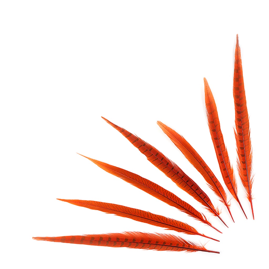 Bulk Assorted Pheasant Tails Dyed - Orange - Feathers