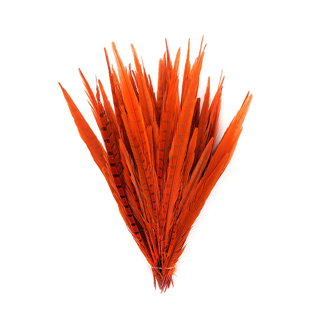 Bulk Assorted Pheasant Tails Dyed - Orange - Feathers