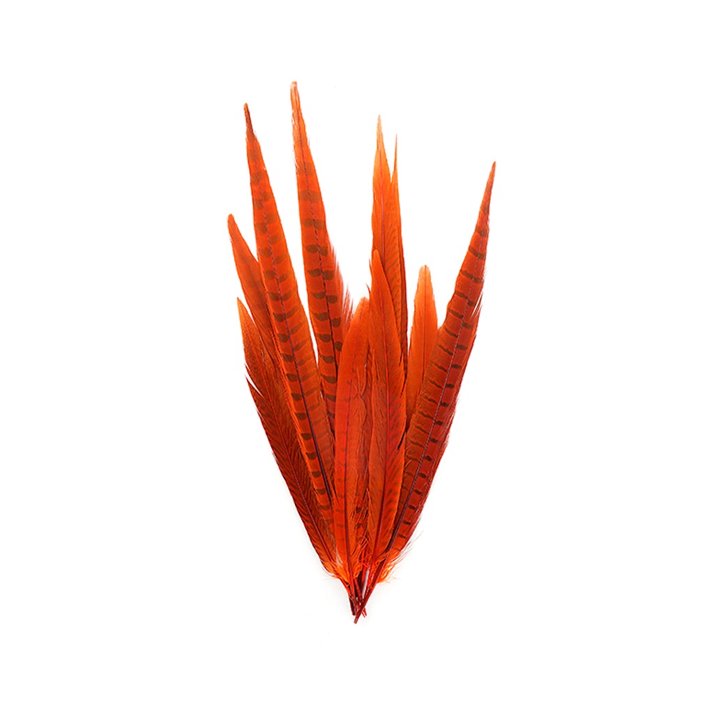 Bulk Assorted Pheasant Tails Dyed - Orange - Feathers