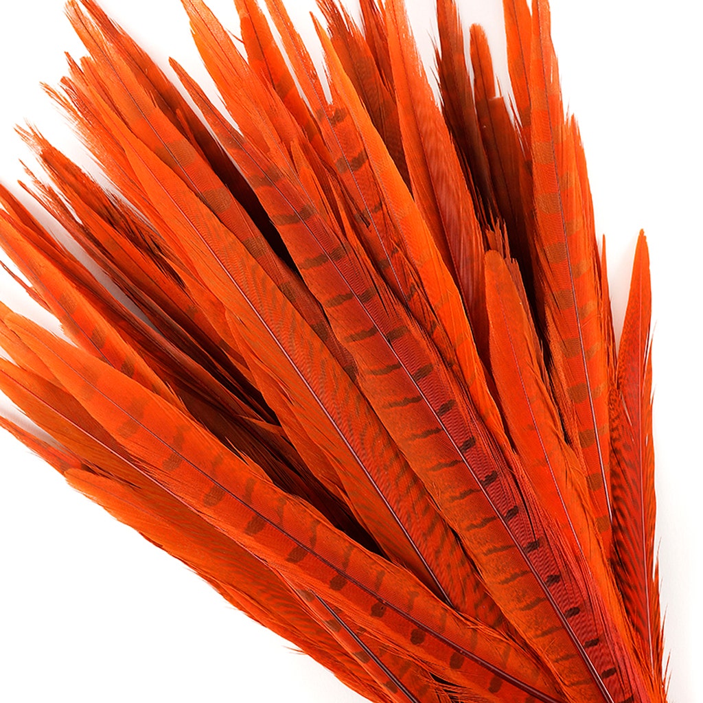 Bulk Assorted Pheasant Tails Dyed - Orange - Feathers