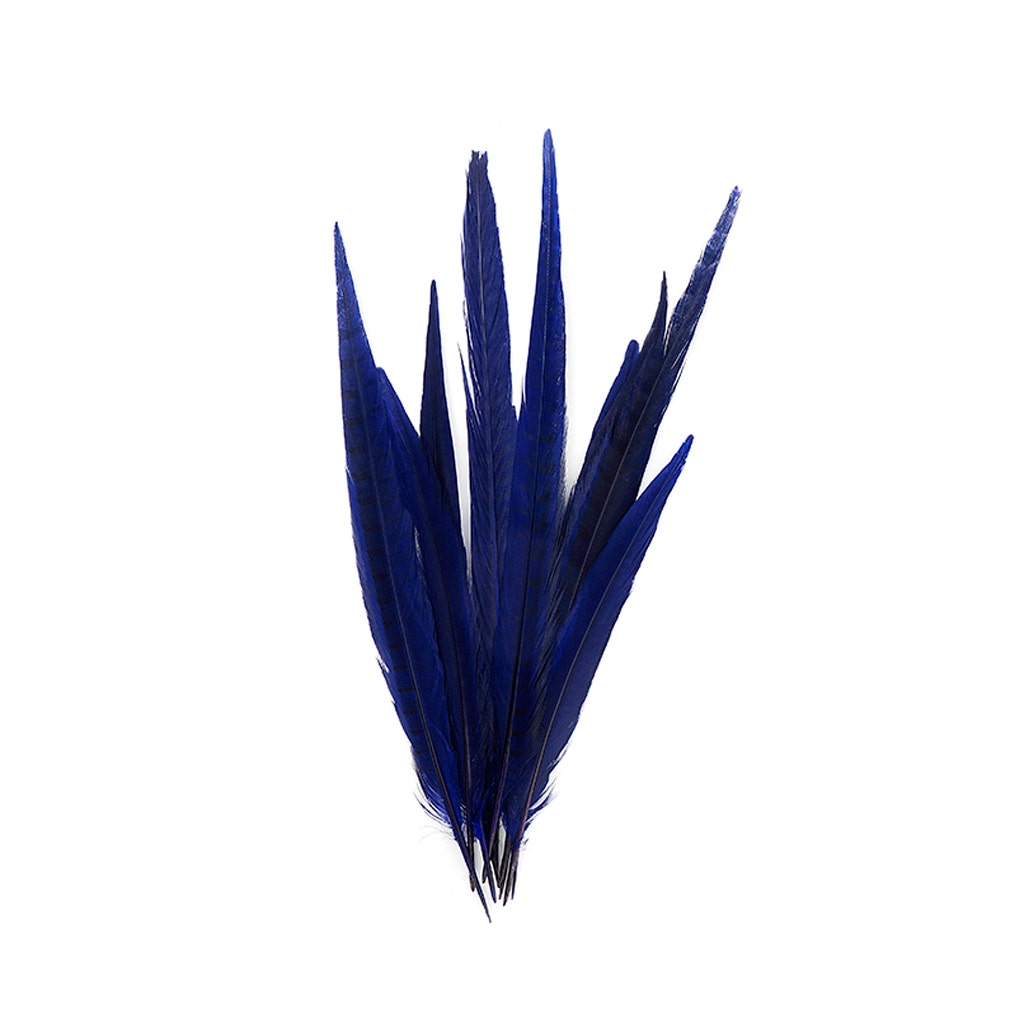 Bulk Assorted Pheasant Tails Dyed - Regal - Feathers