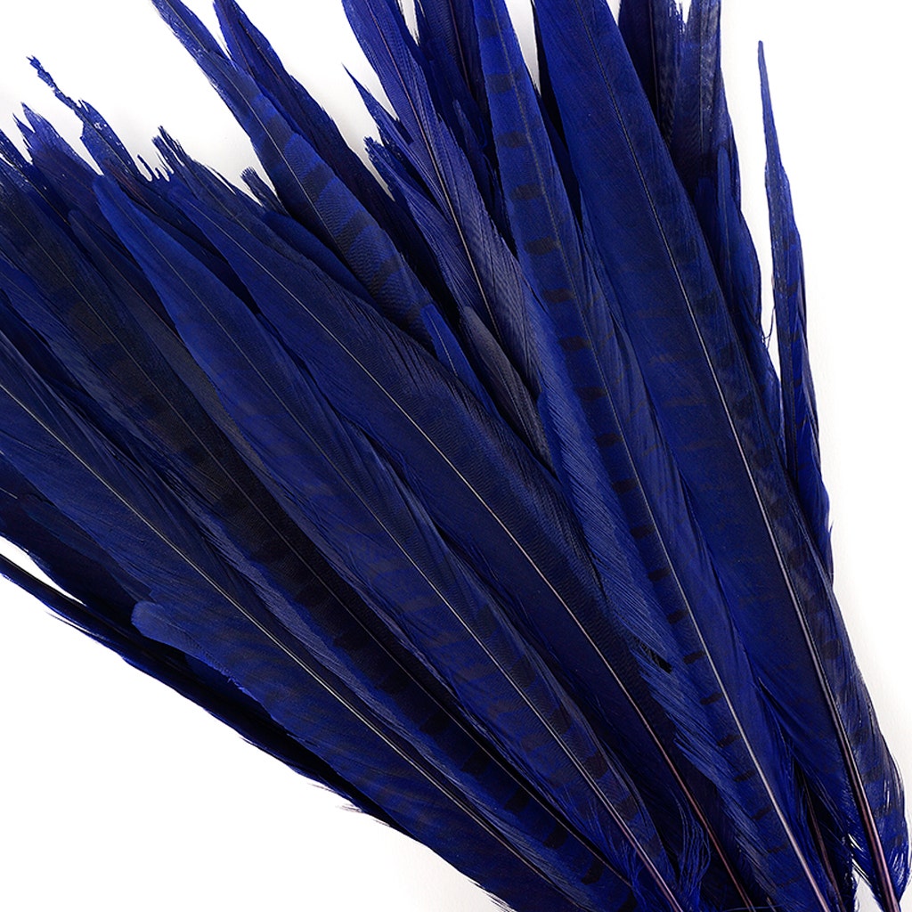 Bulk Assorted Pheasant Tails Dyed - Regal - Feathers