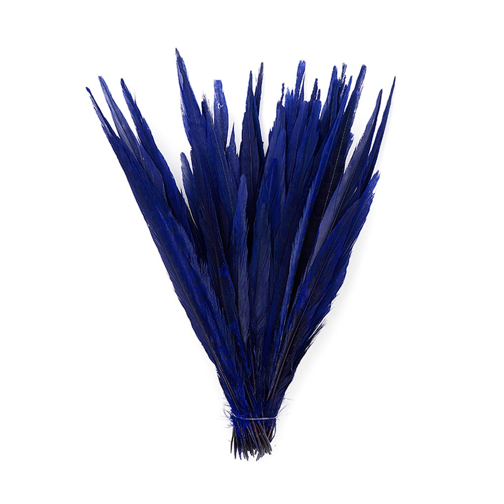 Bulk Assorted Pheasant Tails Dyed - Regal - Feathers