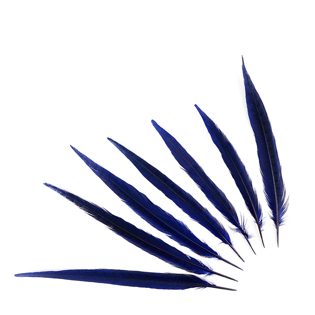 Bulk Assorted Pheasant Tails Dyed - Regal - Feathers