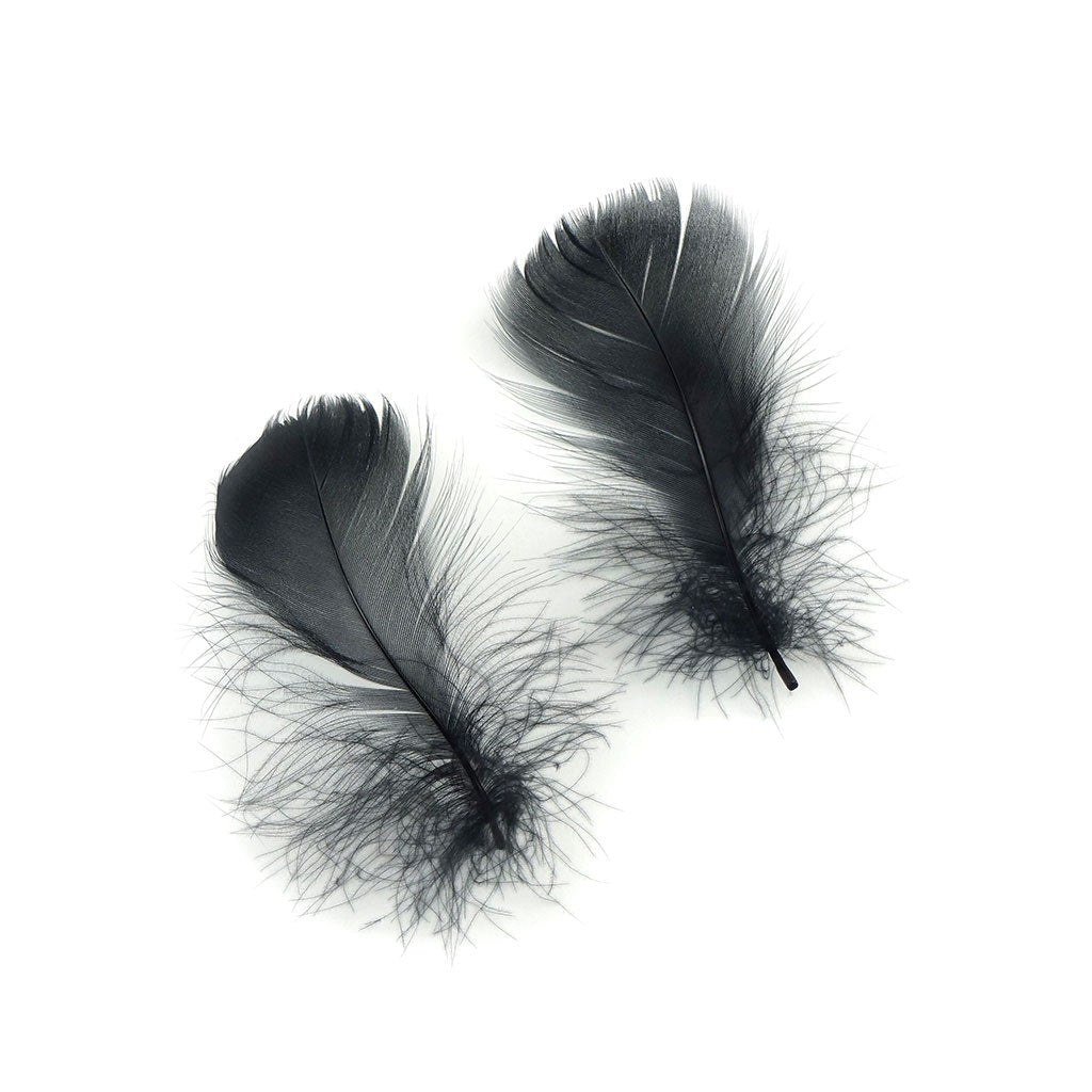 Bulk Goose Coquille Feathers Dyed - Black - 1/4 lb - Feathers