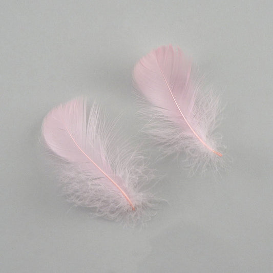 Bulk Goose Coquille Feathers Dyed - Candy Pink - 1/4 lb - Feathers