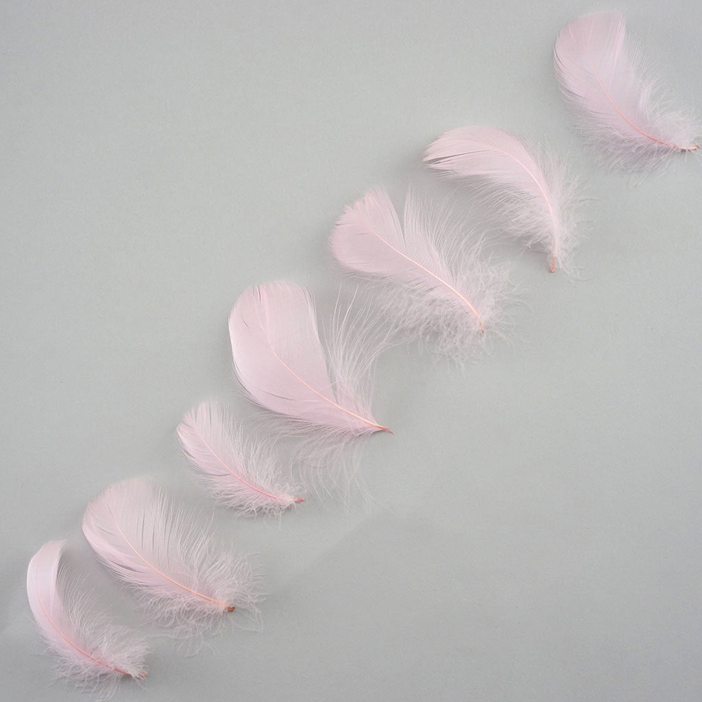 Bulk Goose Coquille Feathers Dyed - Candy Pink - 1/4 lb - Feathers