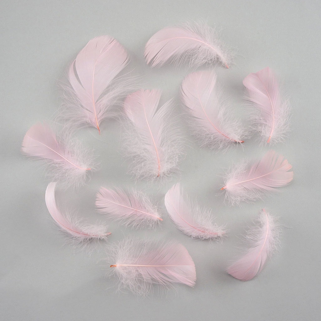 Bulk Goose Coquille Feathers Dyed - Candy Pink - 1/4 lb - Feathers