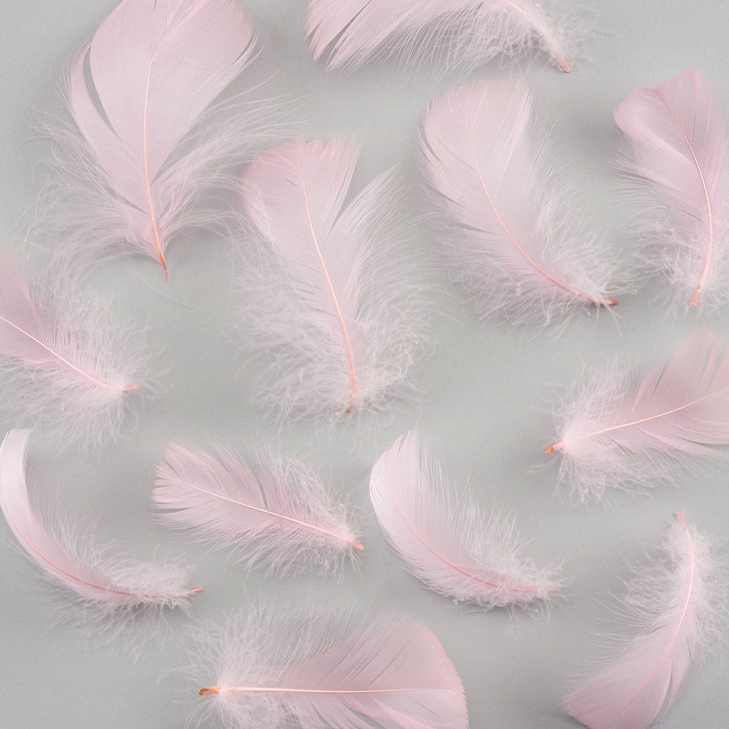 Bulk Goose Coquille Feathers Dyed - Candy Pink - 1/4 lb - Feathers