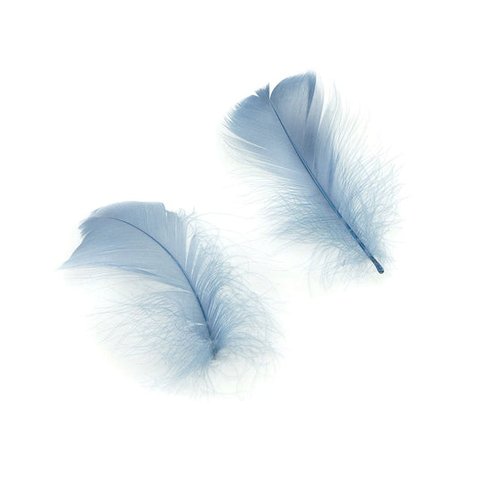 Bulk Goose Coquille Feathers Dyed - Country Blue - 1/4 lb - Feathers