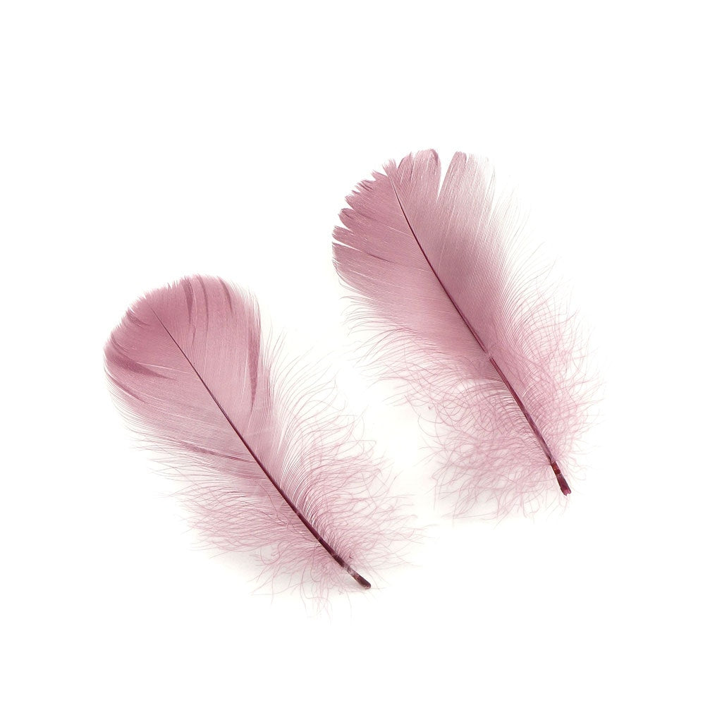 Bulk Goose Coquille Feathers Dyed - Dusty Rose - 1/4 lb - Feathers