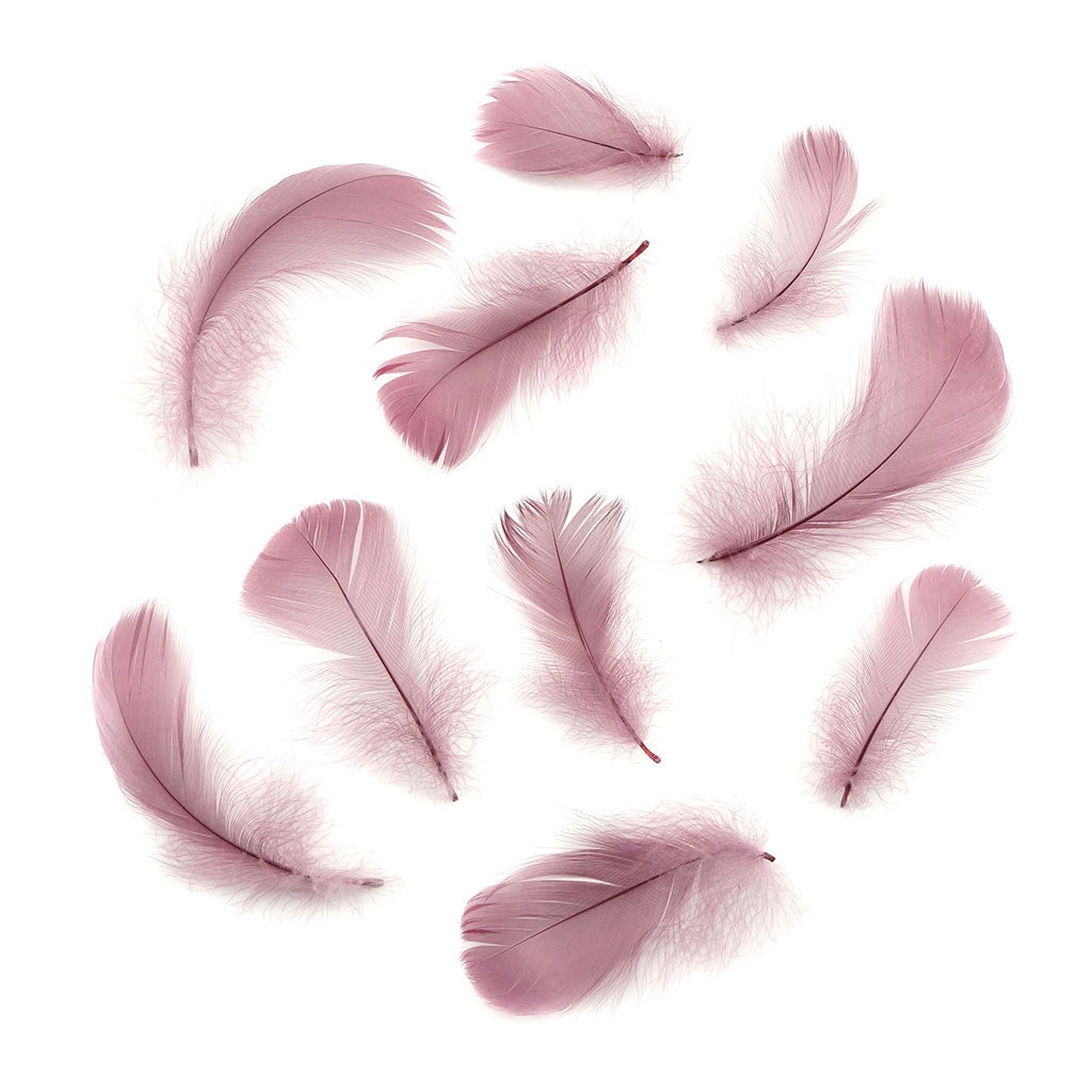 Bulk Goose Coquille Feathers Dyed - Dusty Rose - 1/4 lb - Feathers