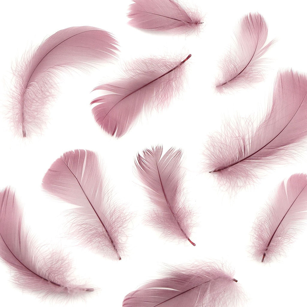 Bulk Goose Coquille Feathers Dyed - Dusty Rose - 1/4 lb - Feathers