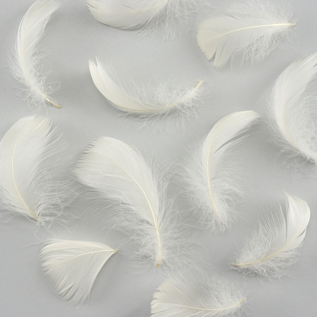 Bulk Goose Coquille Feathers Dyed - Eggshell - 1/4 lb - Feathers