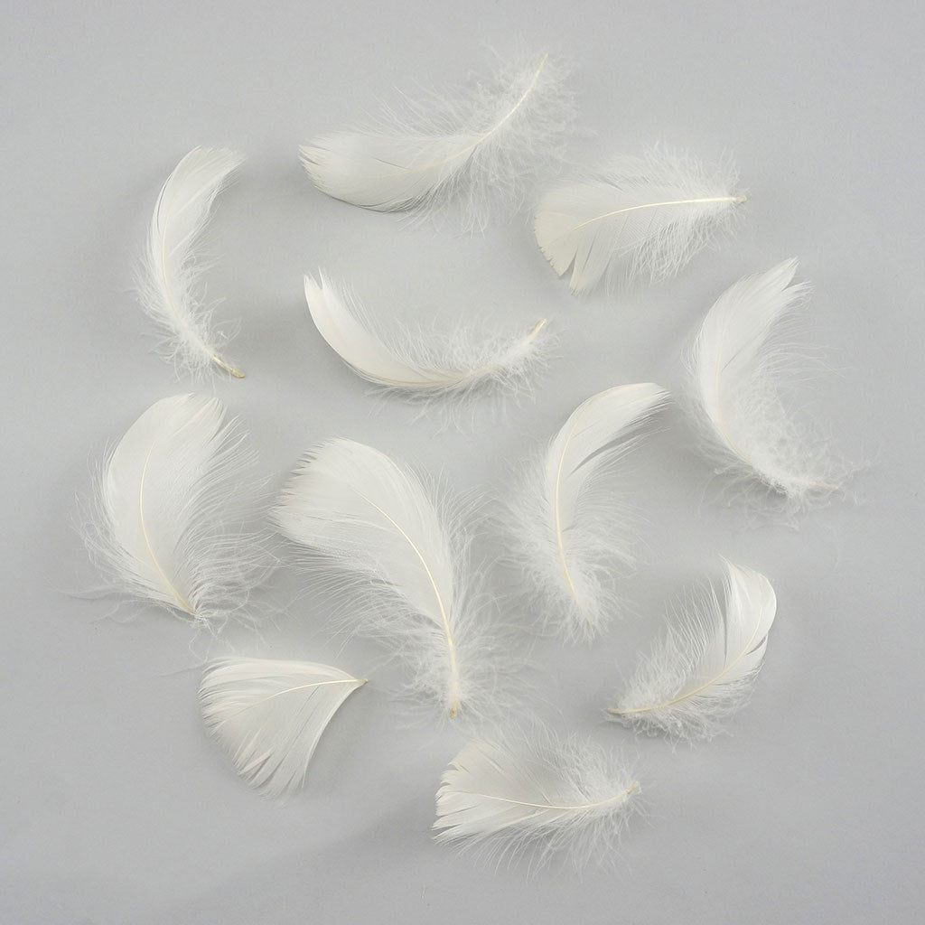 Bulk Goose Coquille Feathers Dyed - Eggshell - 1/4 lb - Feathers