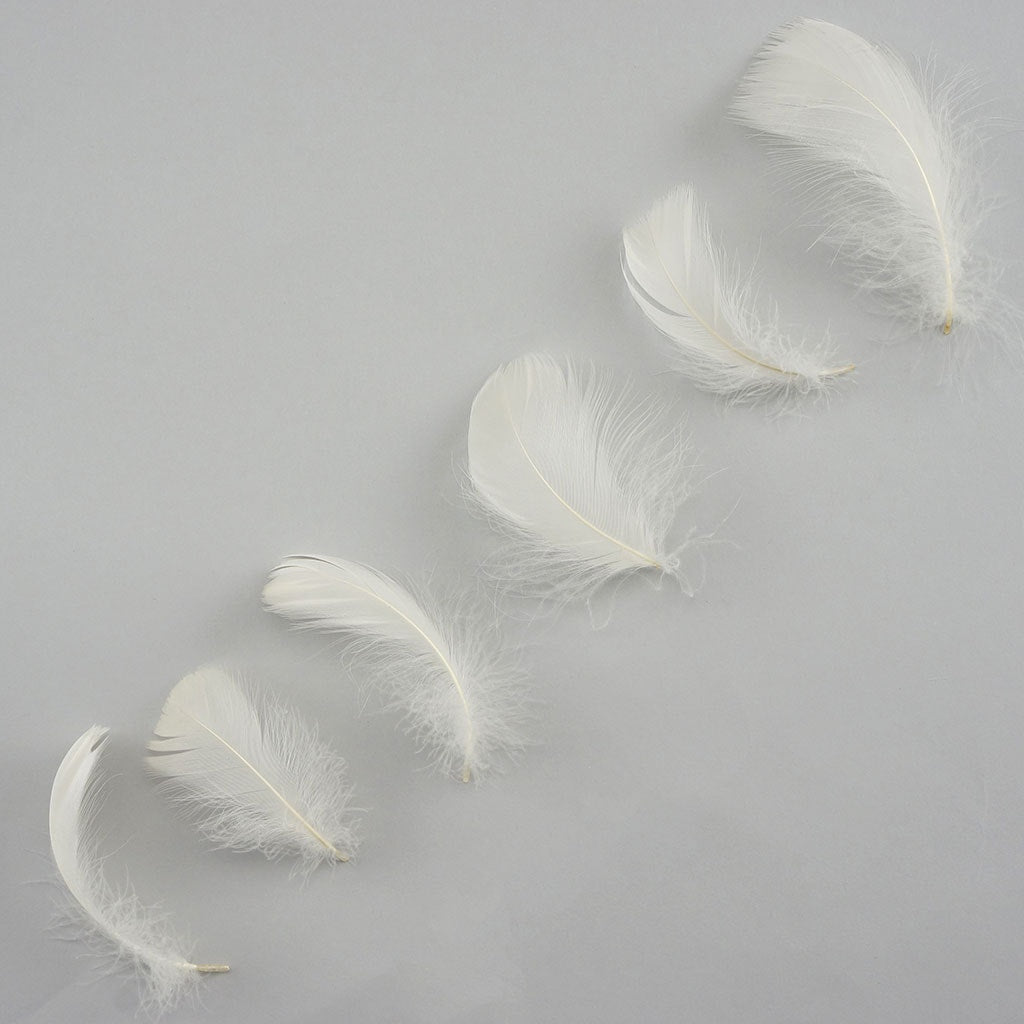 Bulk Goose Coquille Feathers Dyed - Eggshell - 1/4 lb - Feathers