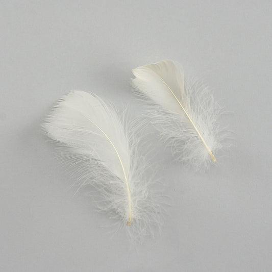 Bulk Goose Coquille Feathers Dyed - Eggshell - 1/4 lb - Feathers