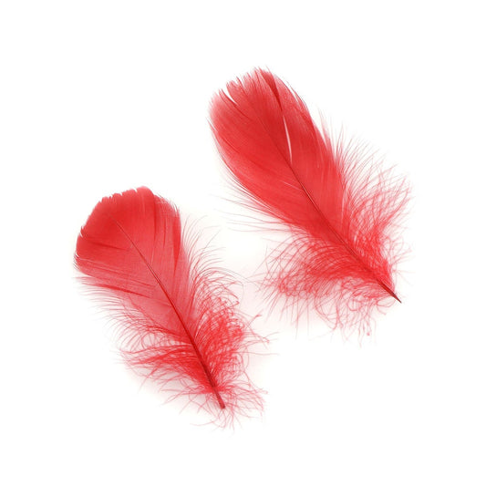 Bulk Goose Coquille Feathers Dyed - Red - 1/4 lb - Feathers