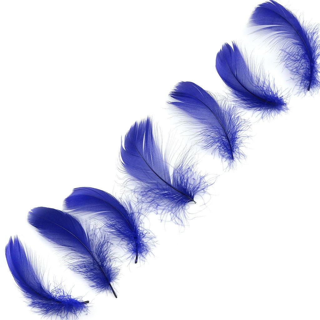 Bulk Goose Coquille Feathers Dyed - Regal - 1/4 lb - Feathers