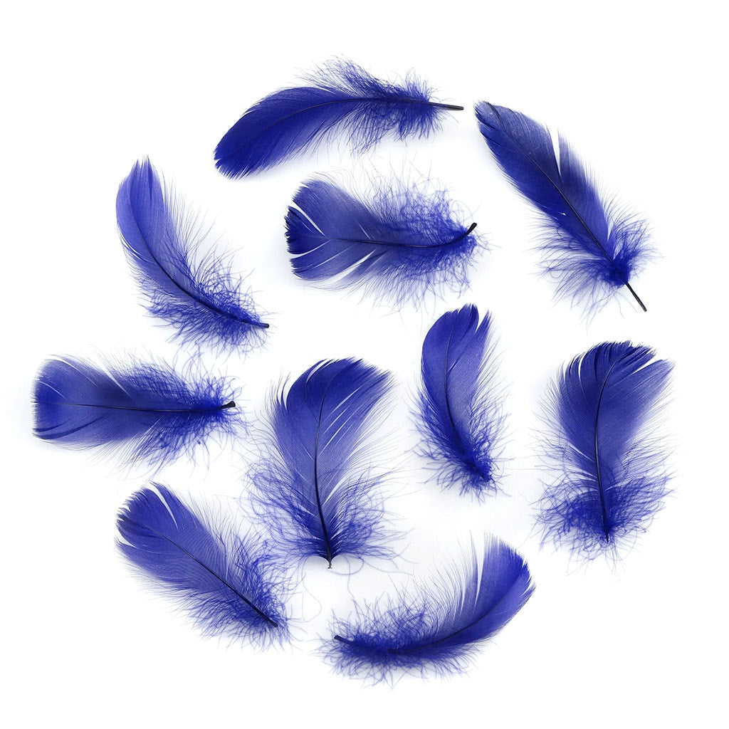 Bulk Goose Coquille Feathers Dyed - Regal - 1/4 lb - Feathers