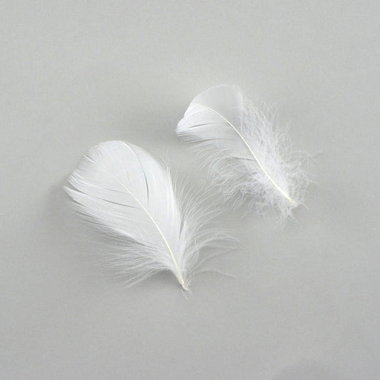 Bulk Goose Coquille Feathers Dyed - White - 1/4 lb - Feathers