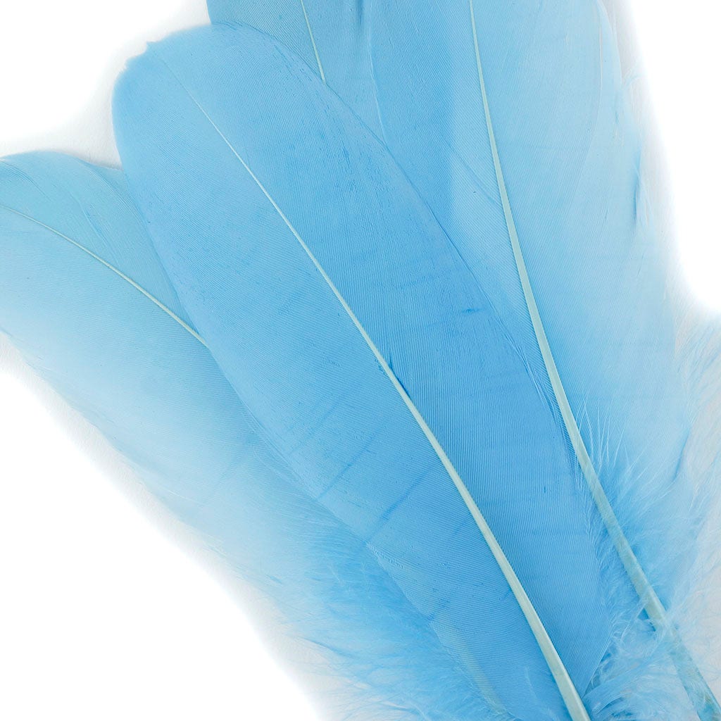 Bulk Bulk Goose Pallet Feathers 6-8 Inch - 1/4 LB - Light Blue - Feathers