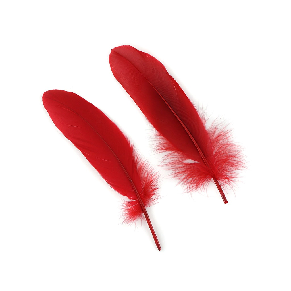 Bulk Goose Pallet Feathers 6-8 Inch - 1/4 LB - Red - Feathers