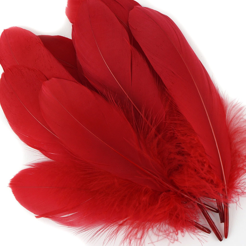 Bulk Goose Pallet Feathers 6-8 Inch - 1/4 LB - Red - Feathers