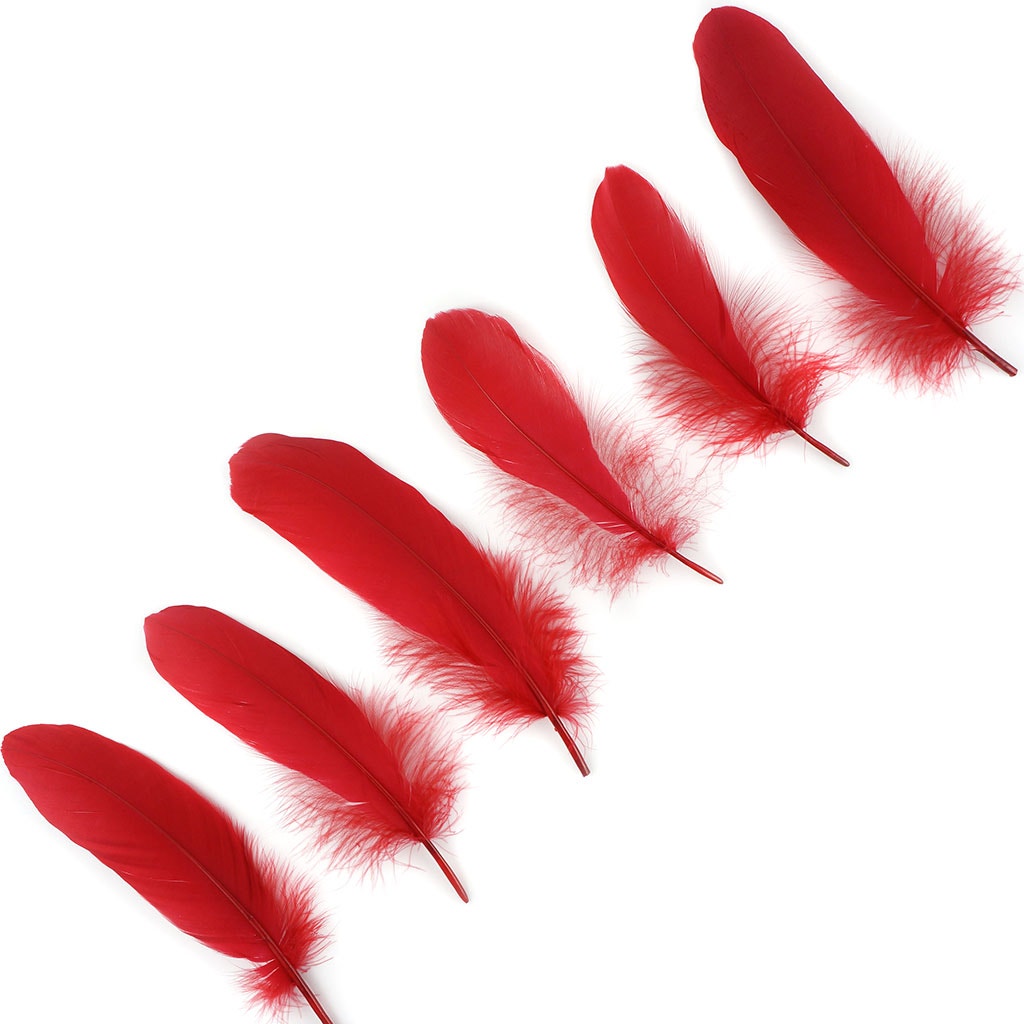 Bulk Goose Pallet Feathers 6-8 Inch - 1/4 LB - Red - Feathers