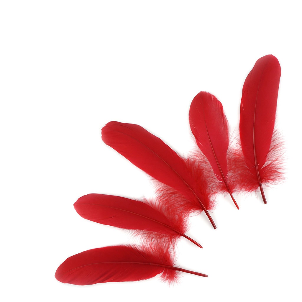 Bulk Goose Pallet Feathers 6-8 Inch - 1/4 LB - Red - Feathers