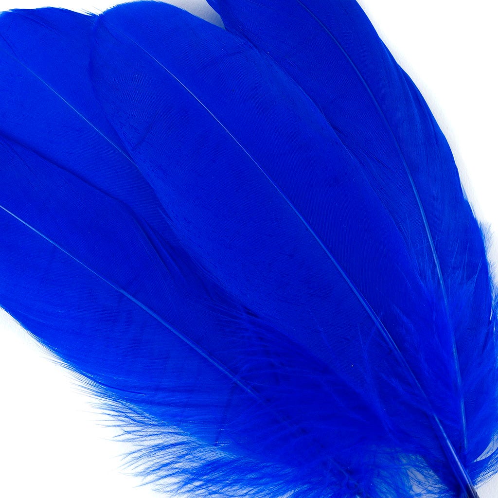 Bulk Goose Pallet Feathers 6-8 Inch - 1/4 LB - Royal - Feathers