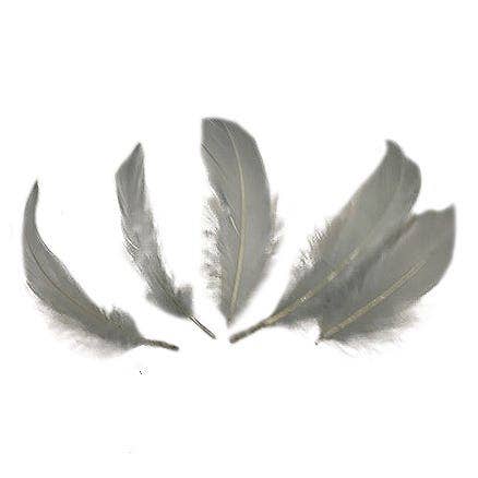 Bulk Goose Pallet Feathers - 6-8 Inch - 1/4 LB - Silver - Feathers