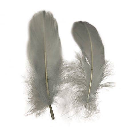 Bulk Goose Pallet Feathers - 6-8 Inch - 1/4 LB - Silver - Feathers