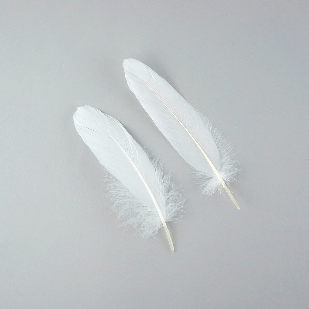 Bulk Goose Pallet Feathers 6-8 Inch - 1/4 LB - White - Feathers