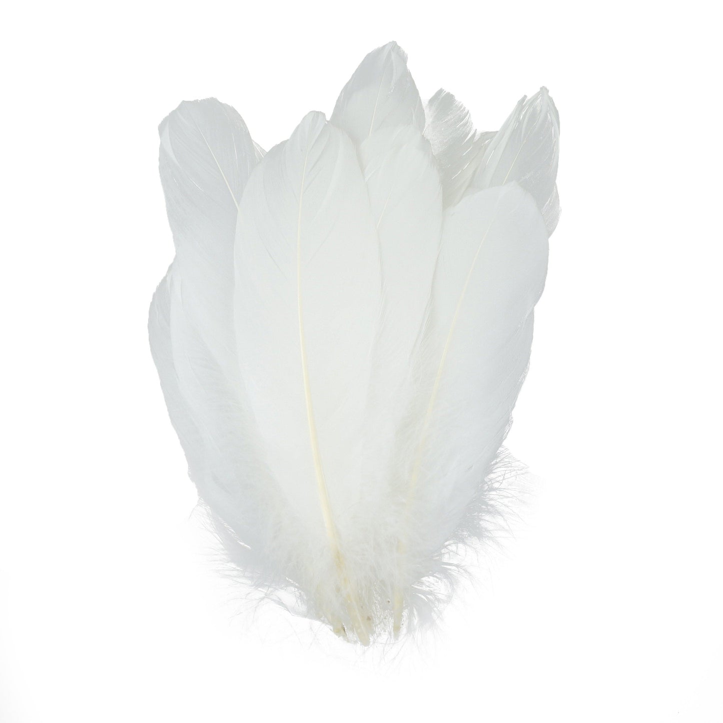 Bulk Goose Pallet Feathers 6-8 Inch - 1/4 LB - White - Feathers